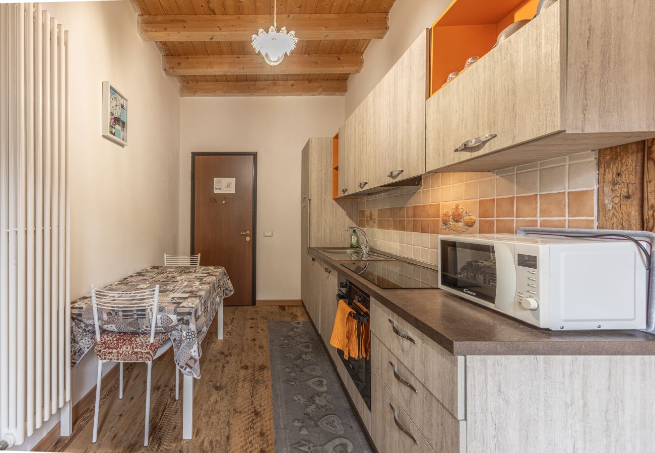 Appartamento a Venas di Cadore - Antica Casa Nella 3