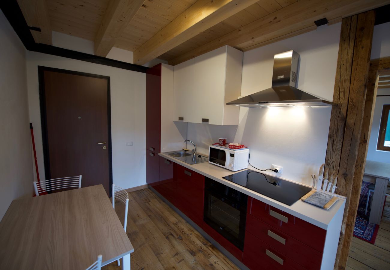 Appartamento a Venas di Cadore - Antica Casa Nella 5