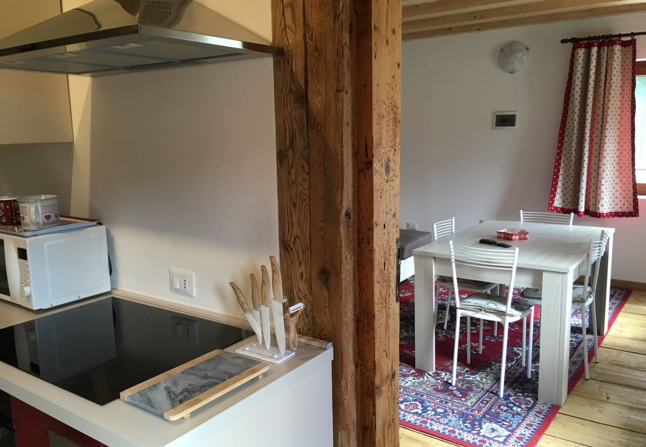 Appartamento a Venas di Cadore - Antica Casa Nella 5