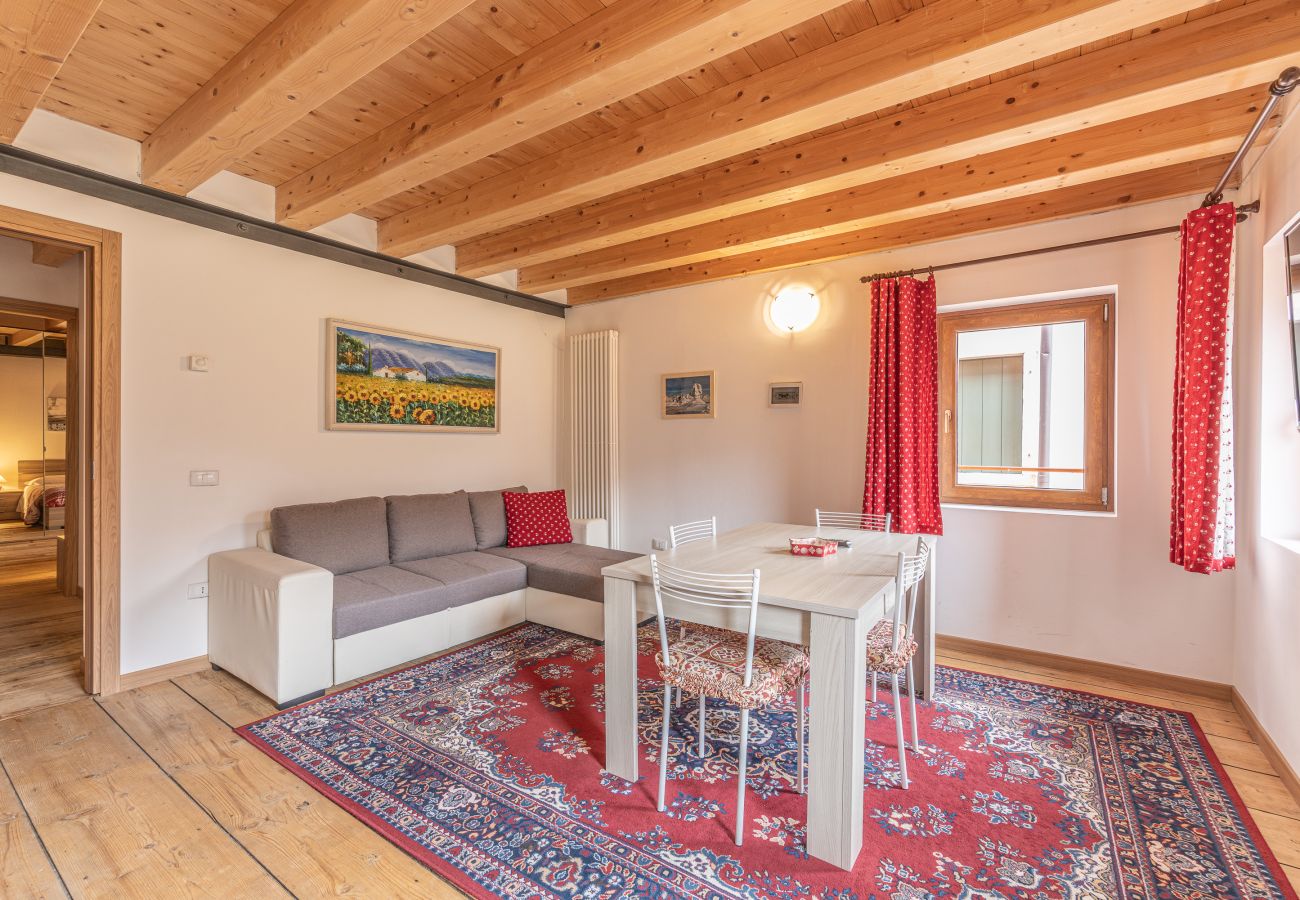 Appartamento a Venas di Cadore - Antica Casa Nella 5