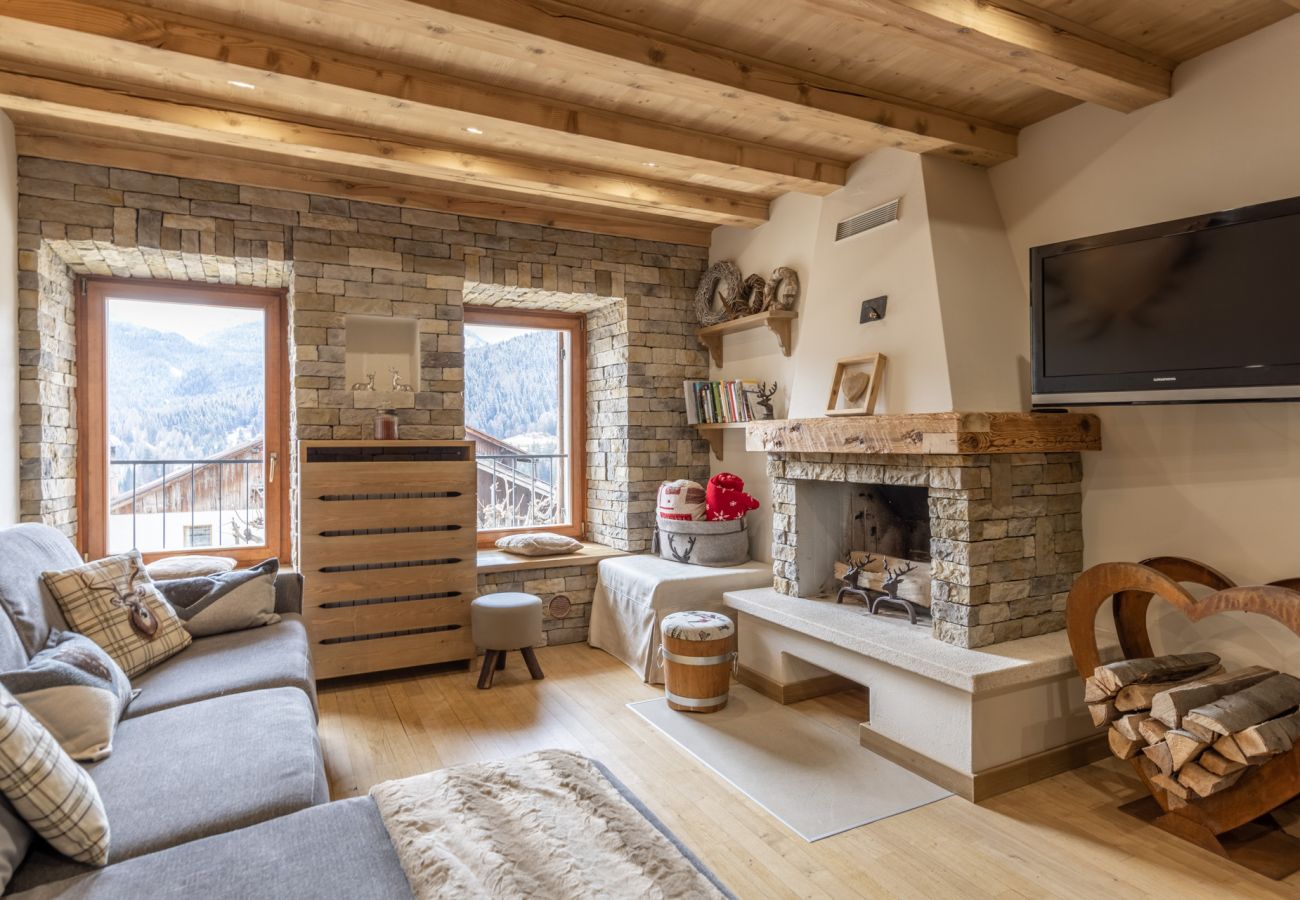 Appartamento a San Vito di Cadore - Casa Ladinia