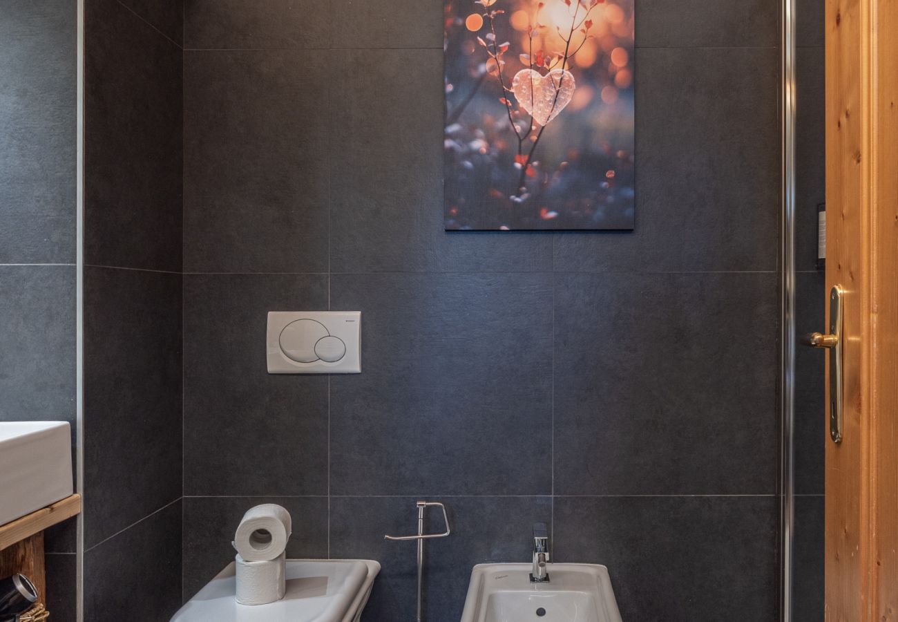 Appartamento a Vodo Cadore - Ciandolada 3 Wellness