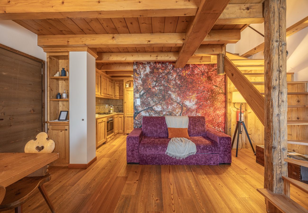 Appartamento a Vodo Cadore - Ciandolada 3 Wellness