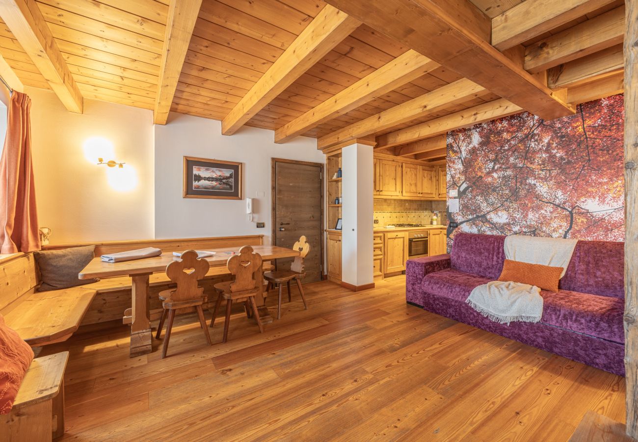 Appartamento a Vodo Cadore - Ciandolada 3 Wellness
