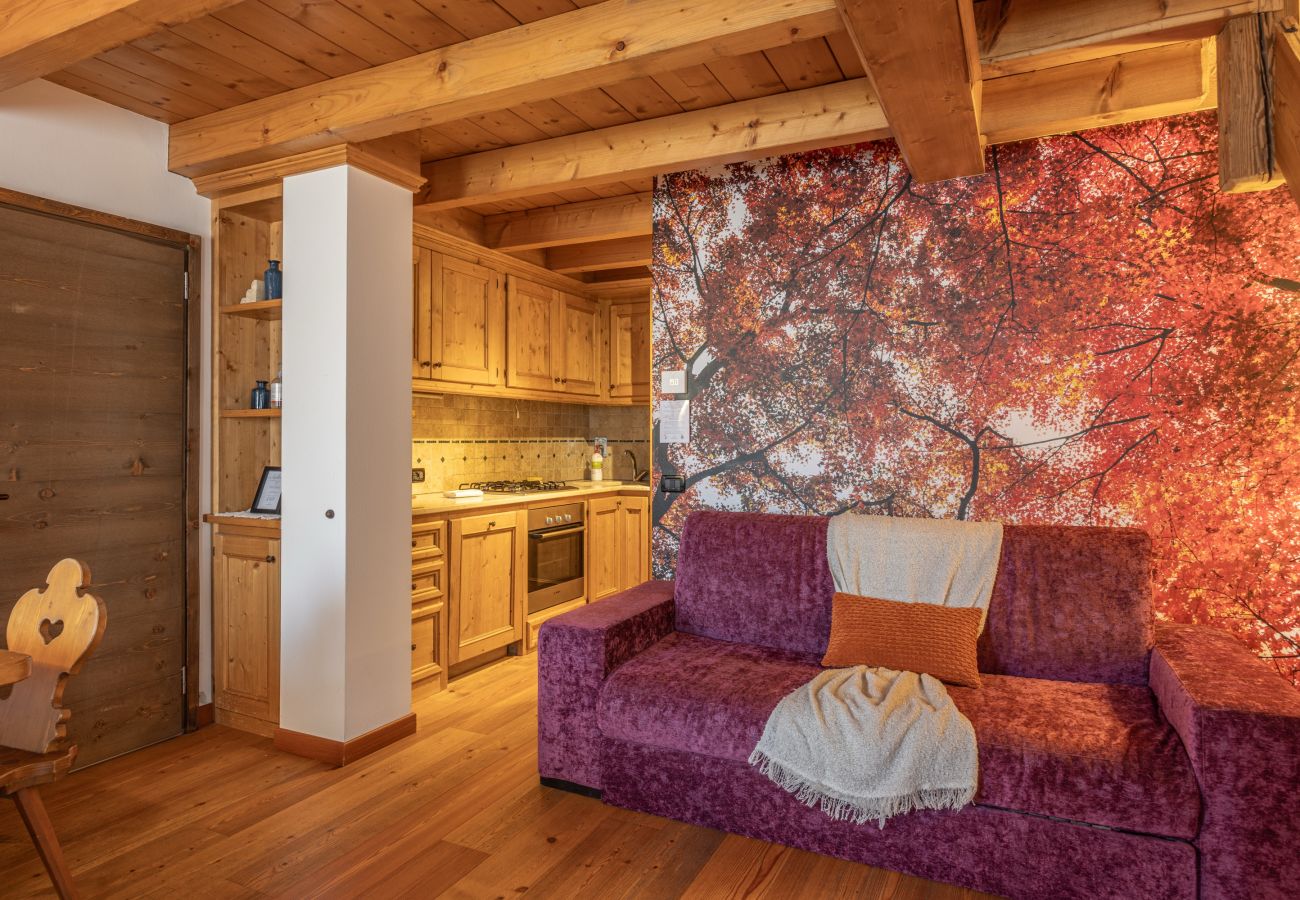 Appartamento a Vodo Cadore - Ciandolada 3 Wellness
