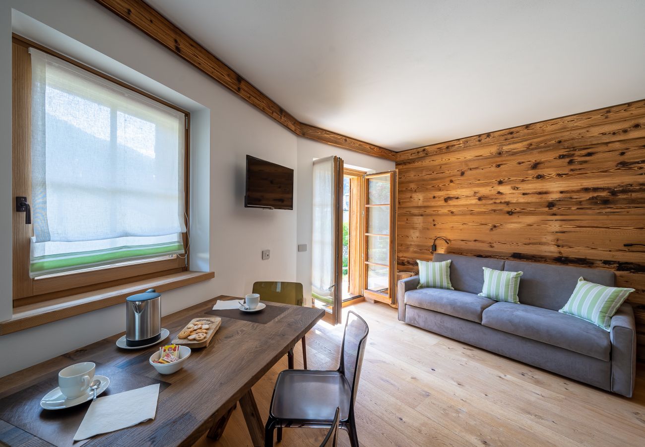 Appartamento a Vodo Cadore - CHALET INES - Appartamento 1