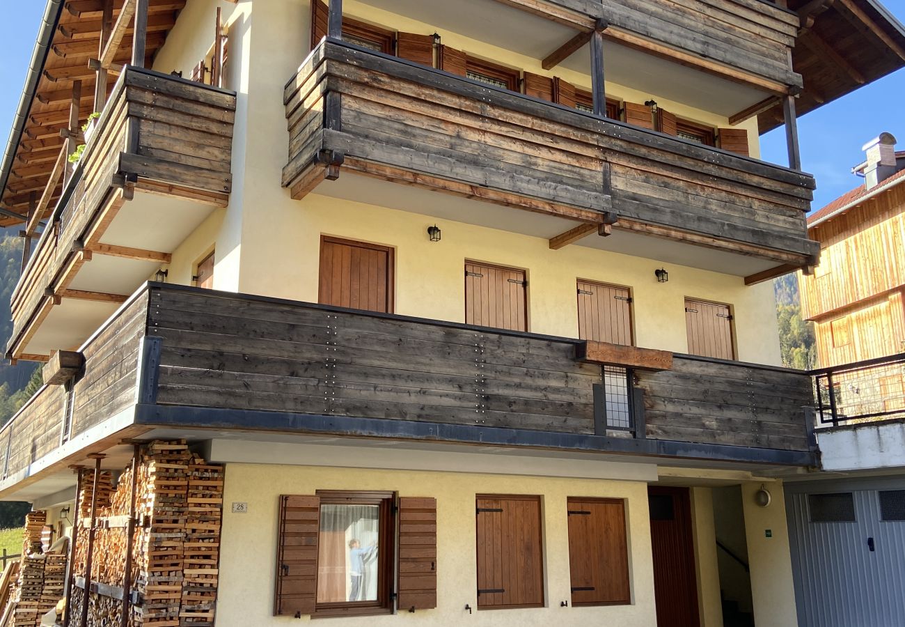 Appartamento a Vodo Cadore - Casa Le Vivane, con balcone e vista 