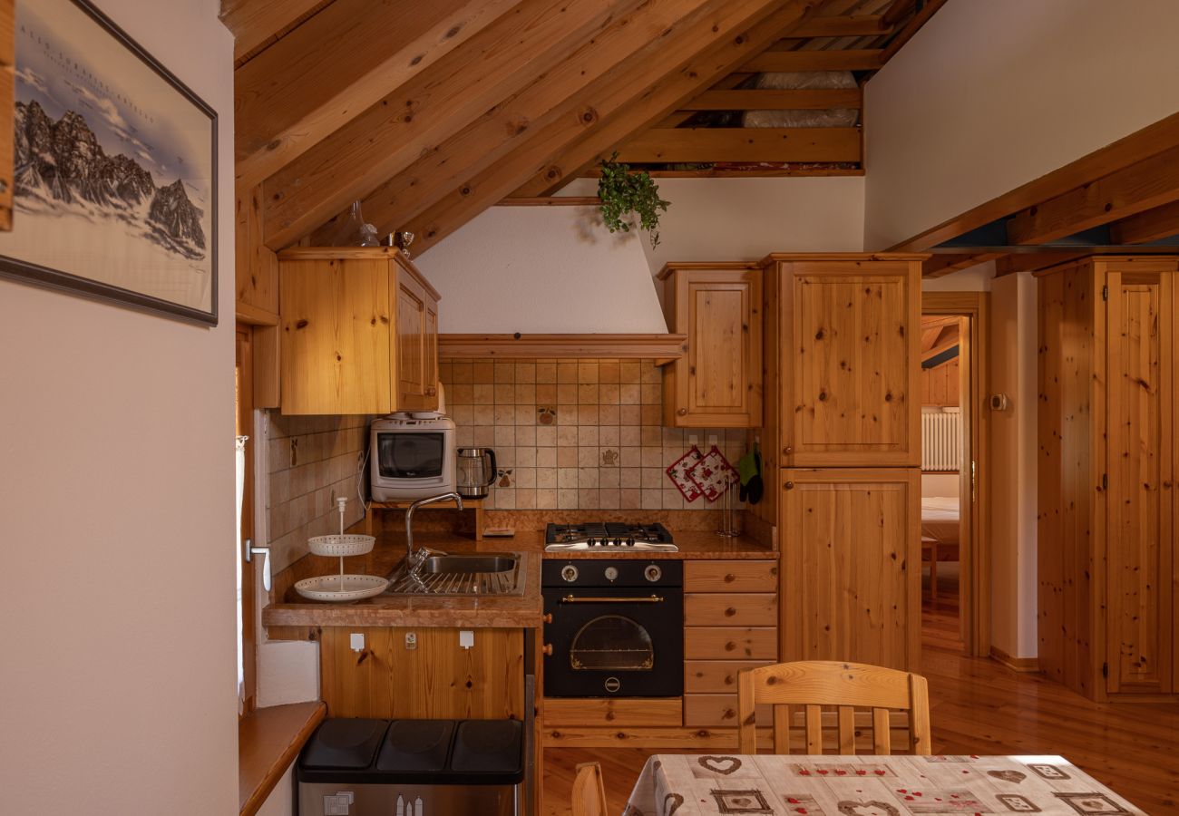 Appartamento a San Vito di Cadore - Casa Antelao, sulla via per Cortina