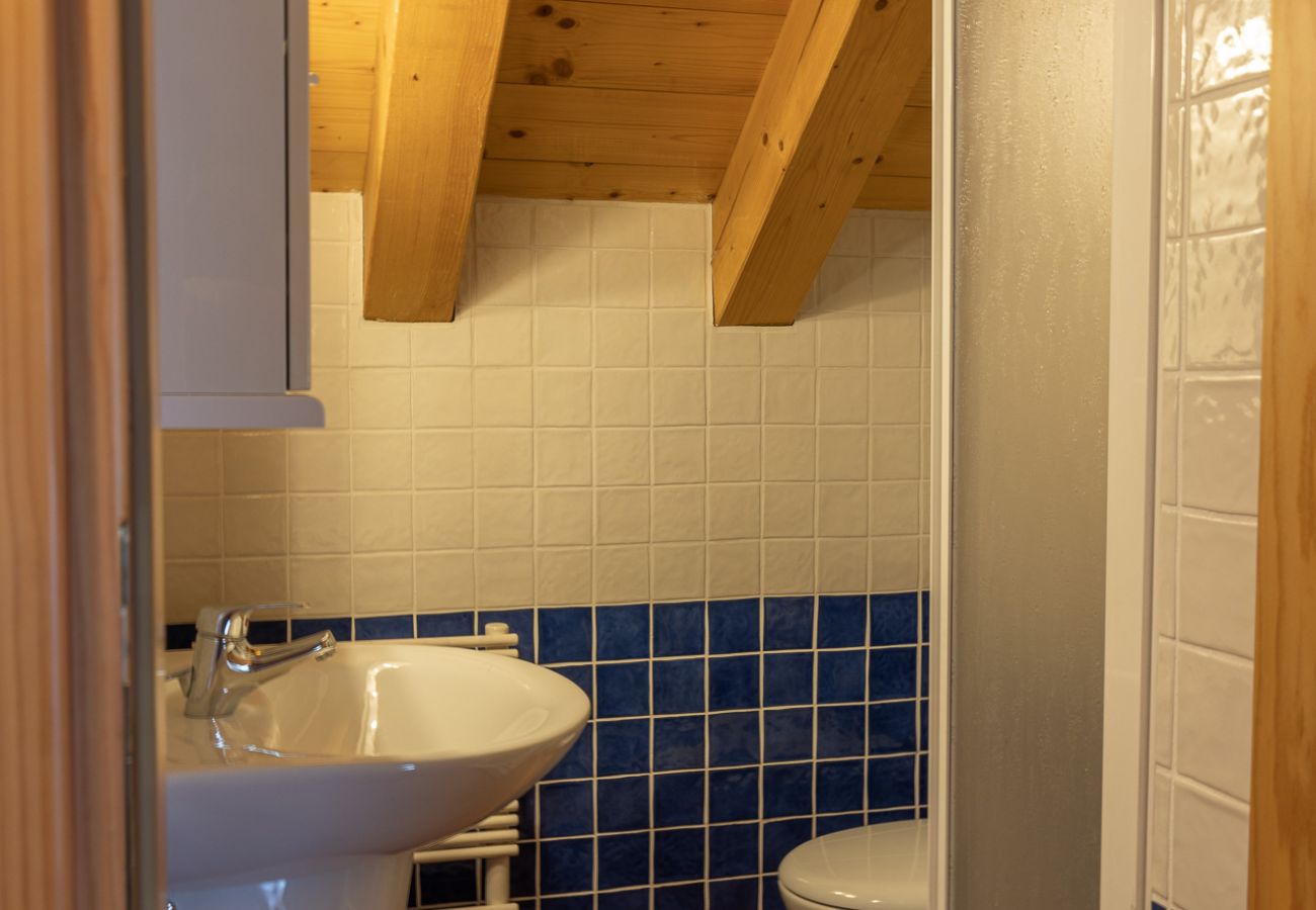 Appartamento a San Vito di Cadore - Casa Antelao, sulla via per Cortina