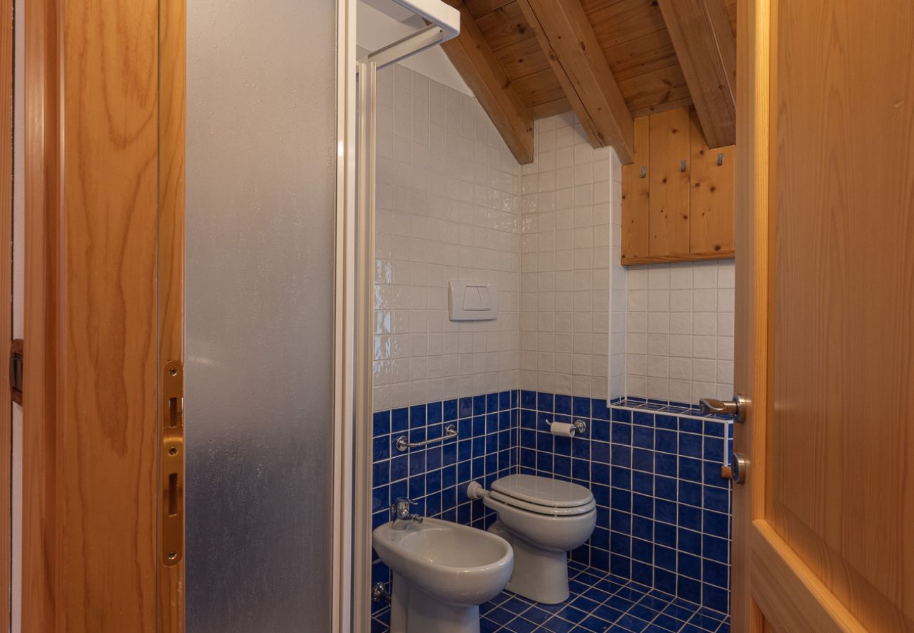 Appartamento a San Vito di Cadore - Casa Antelao, sulla via per Cortina