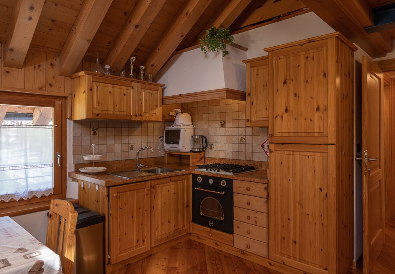 Appartamento a San Vito di Cadore - Casa Antelao, sulla via per Cortina