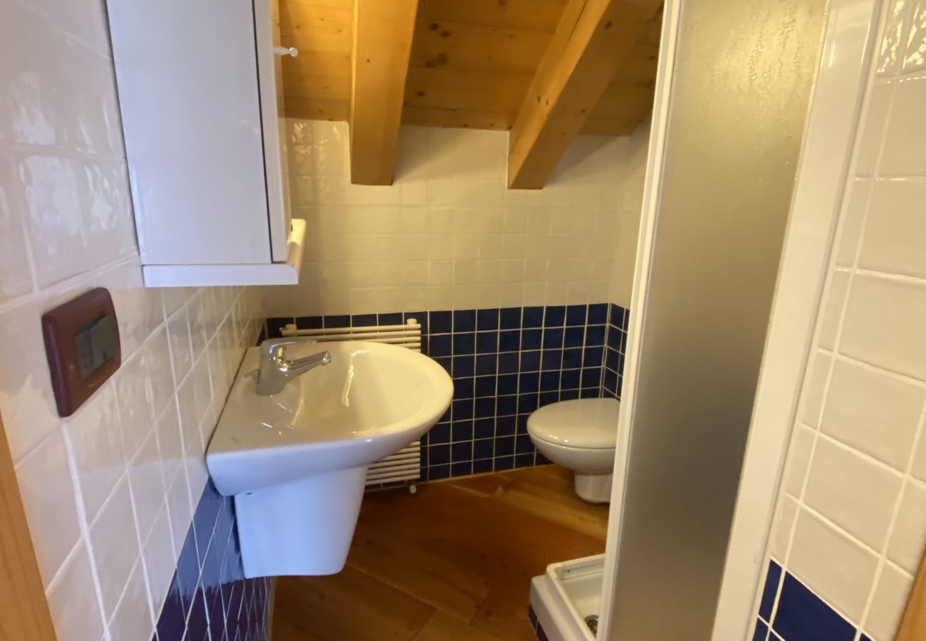 Appartamento a San Vito di Cadore - Casa Antelao, sulla via per Cortina
