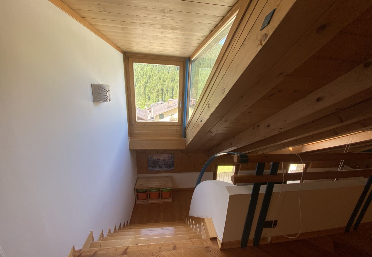 Appartamento a San Vito di Cadore - Casa Antelao, sulla via per Cortina