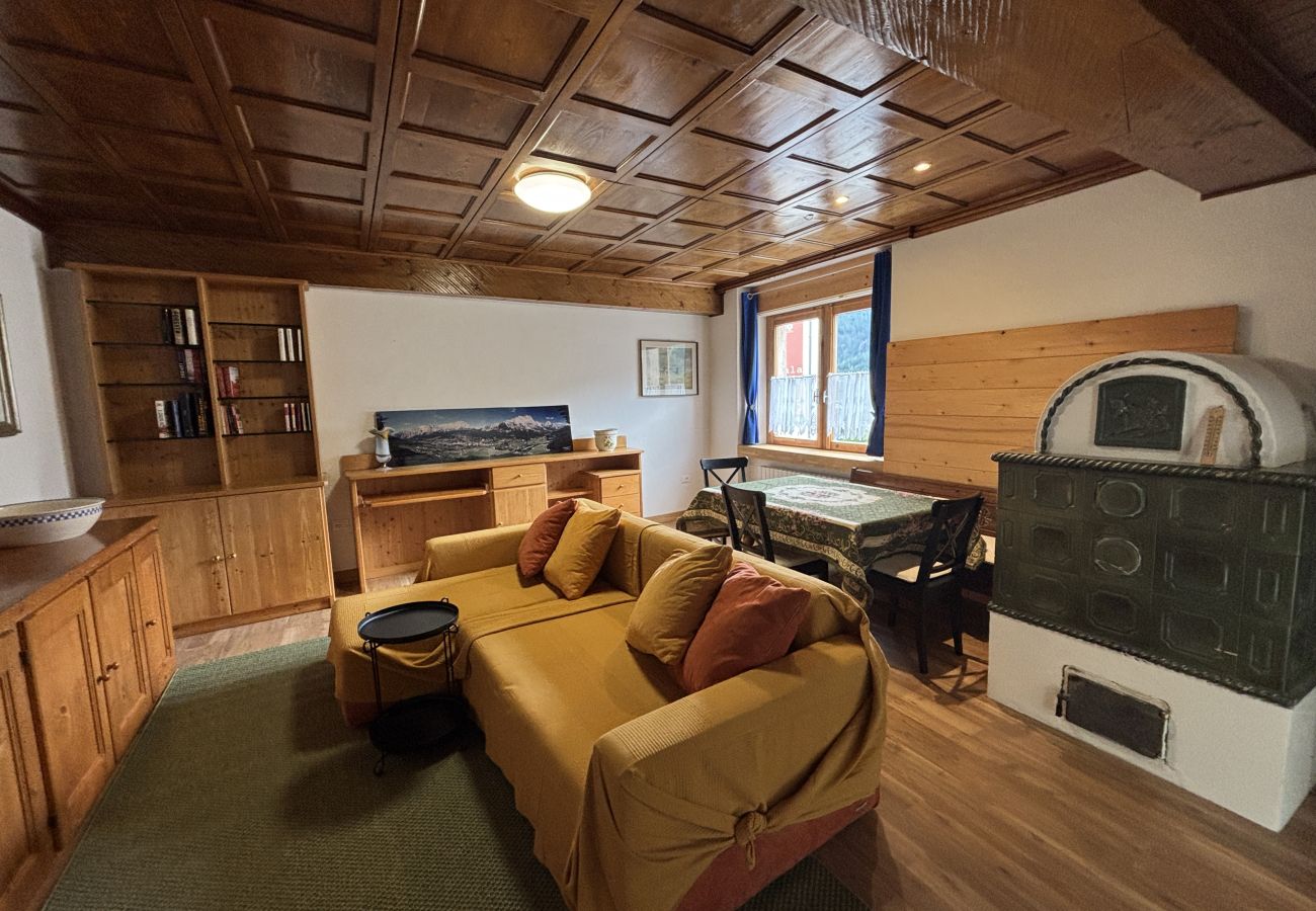 Appartamento a Borca di Cadore - Casa Enrosadira