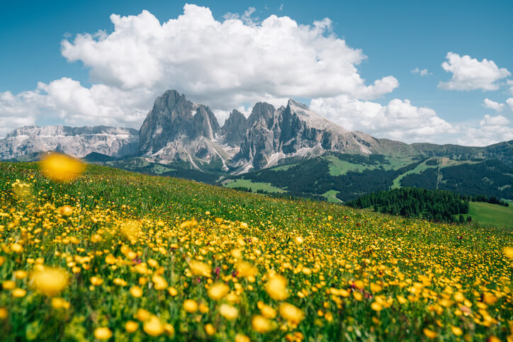 Alpe-di-Siusi-Seiser-Alm