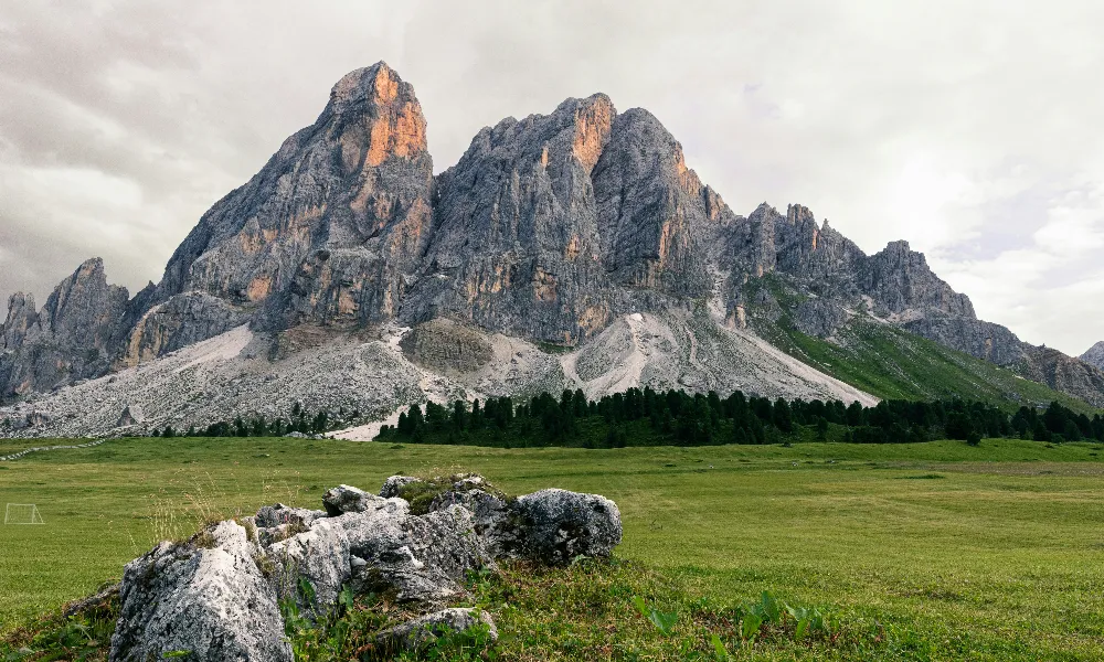 pexels-semws-27539299