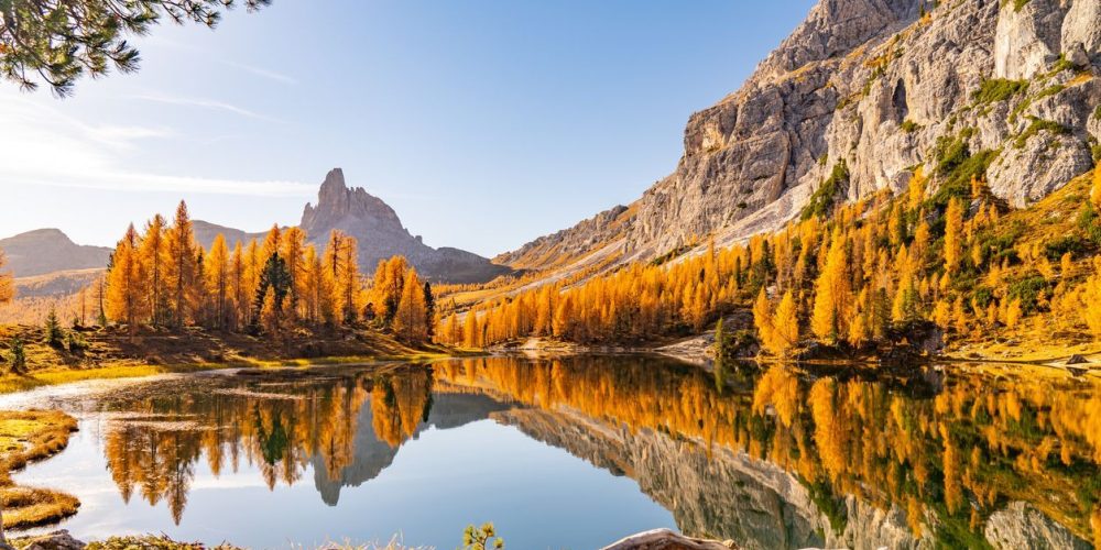 Awesome sunny autumn day in the dolomites, south tyrol, italy, at mountain lake surrounded by orange, golden, yellow colored larch trees, reflections in the water