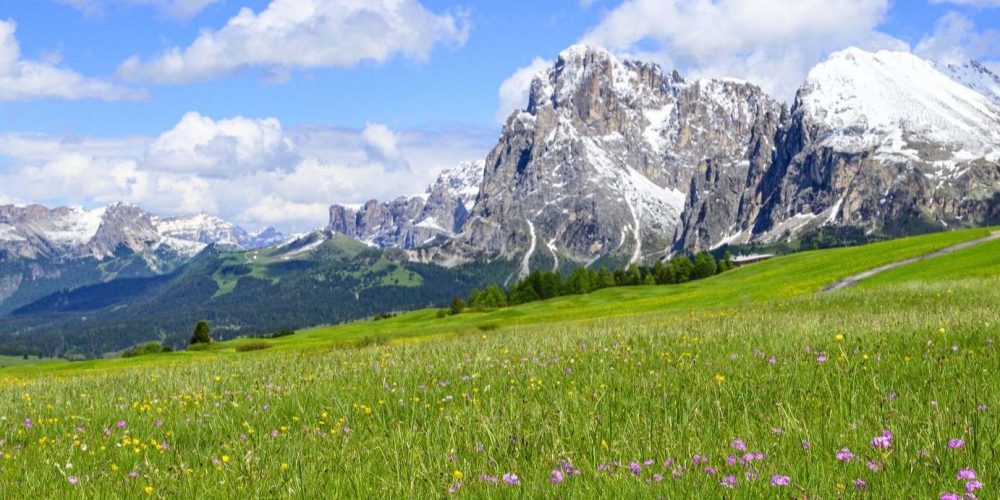 spring Dolomites