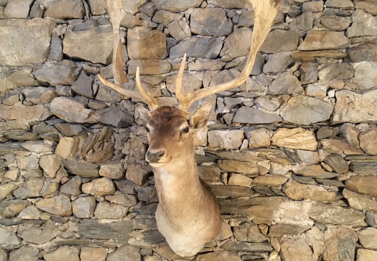 Ferienwohnung in Venas di Cadore - Antica Casa Nella 2