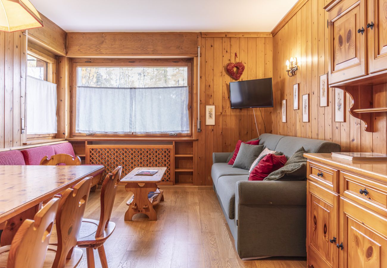 Ferienwohnung in Cortina d´Ampezzo - Casa Milijera