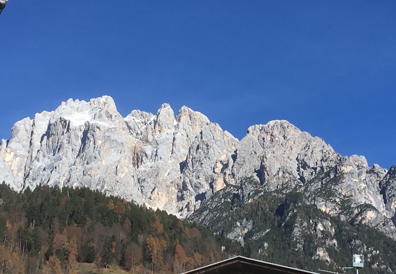 Ferienwohnung in Vodo Cadore - Ciandolada 2 Wellness