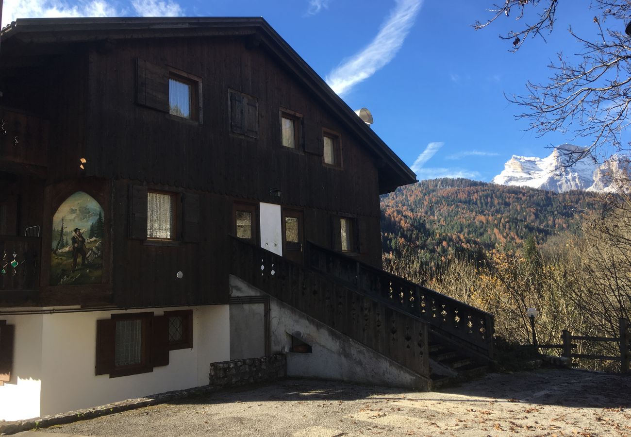 Ferienwohnung in Vodo Cadore - Ciandolada 2 Wellness