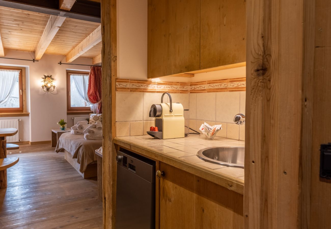 Ferienwohnung in Vodo Cadore - Ciandolada 6 Wellness