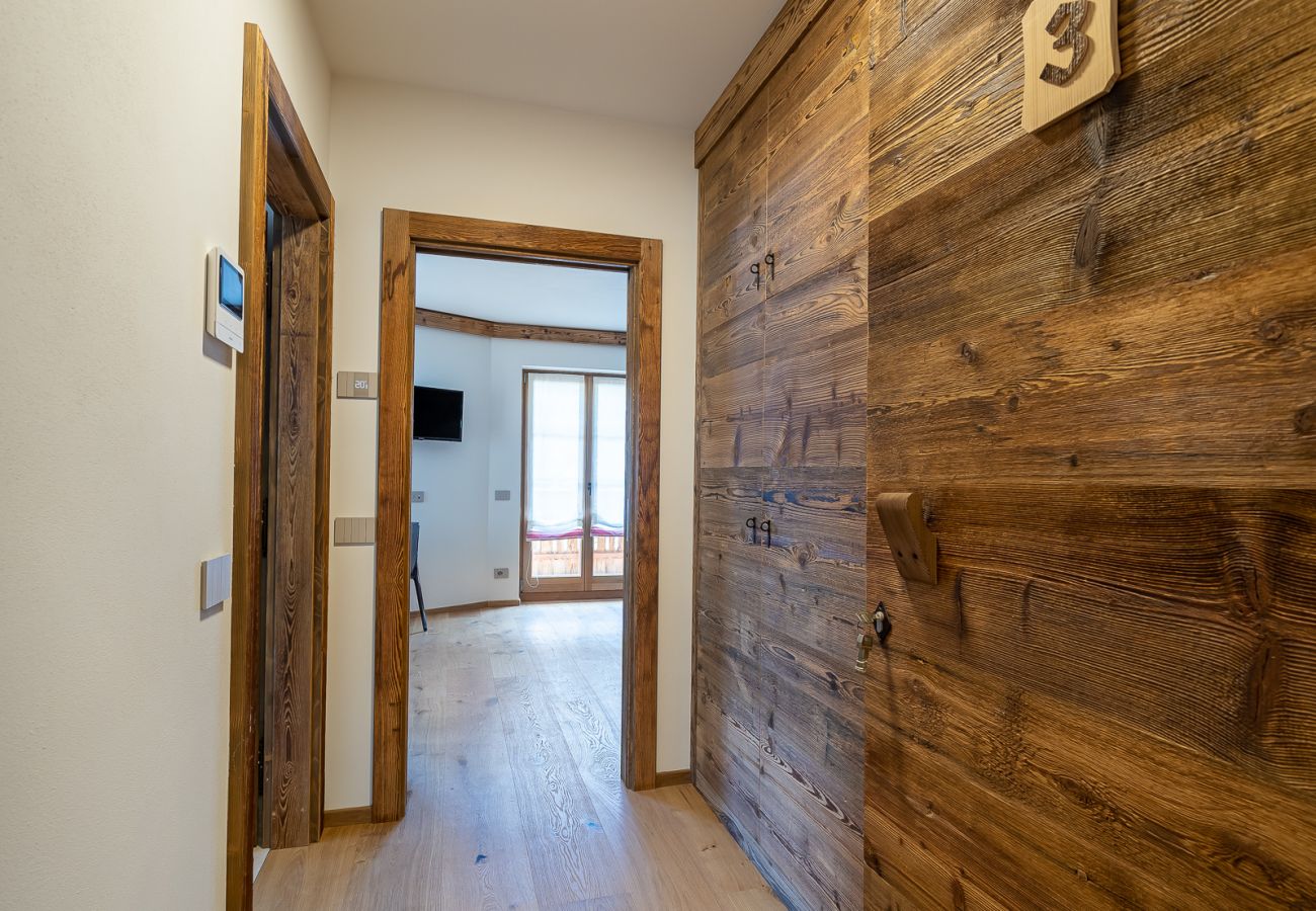 Ferienwohnung in Vodo Cadore - CHALET INES - Studio Apartment 3