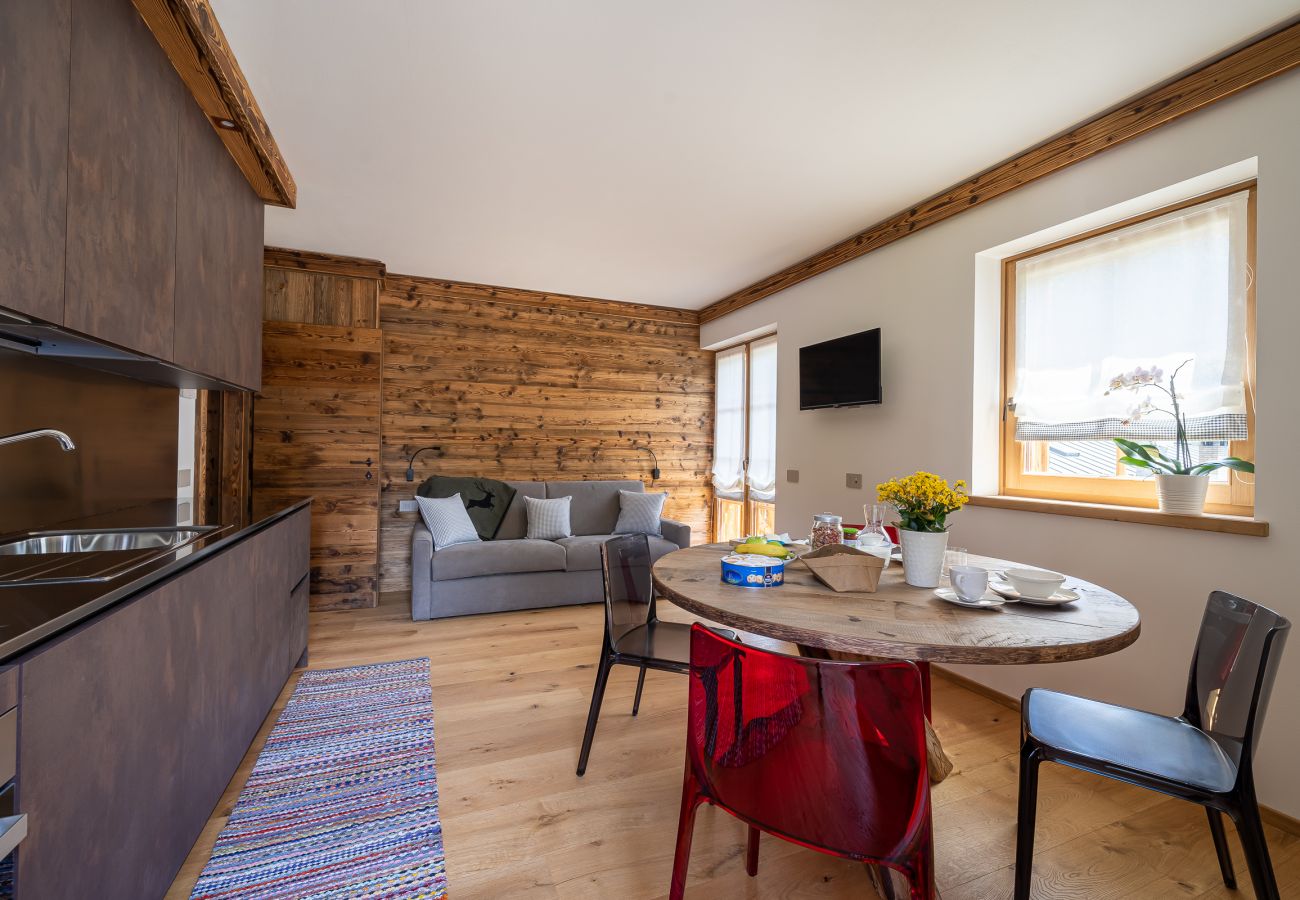 Ferienwohnung in Vodo Cadore - CHALET INES - Appartamento 4