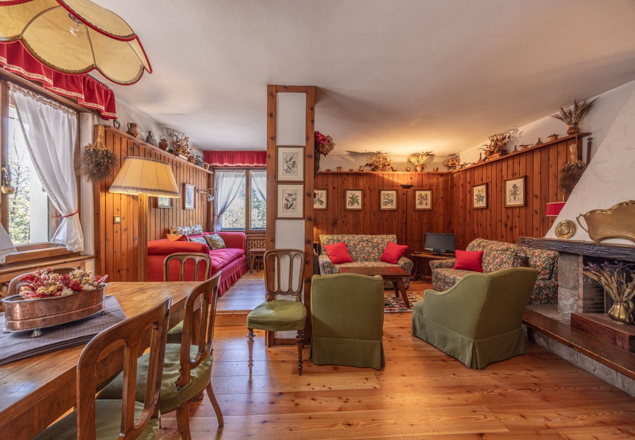 Ferienwohnung in Cortina d´Ampezzo - Ca' del Molin, große Wohnung mit Balkon und Garage