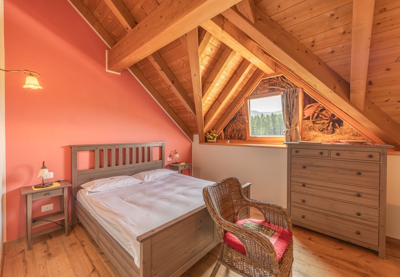 Agrotourismus in Tambre - Agriturismo Filippon- Zimmer Fienile