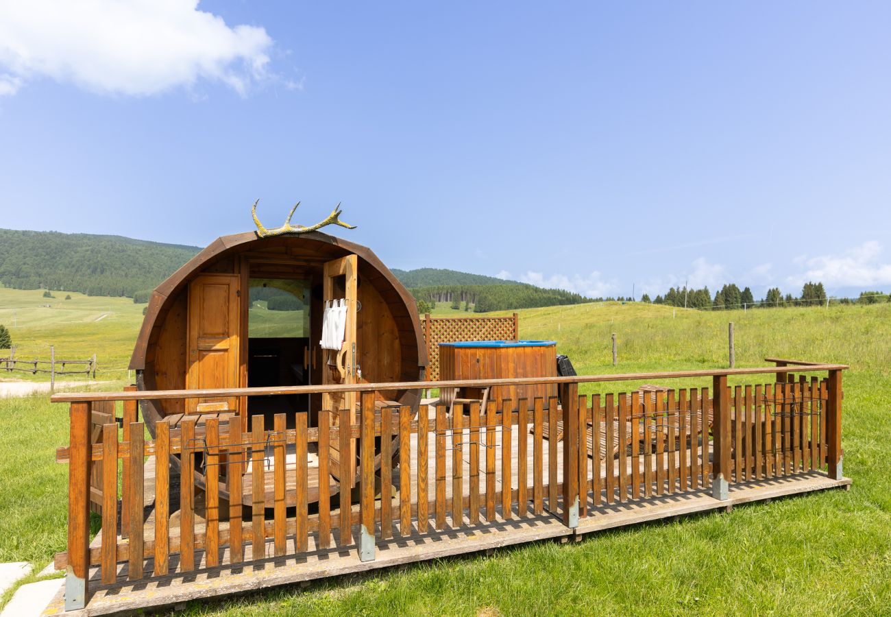Agrotourismus in Tambre - Agriturismo Filippon- Zimmer Fienile