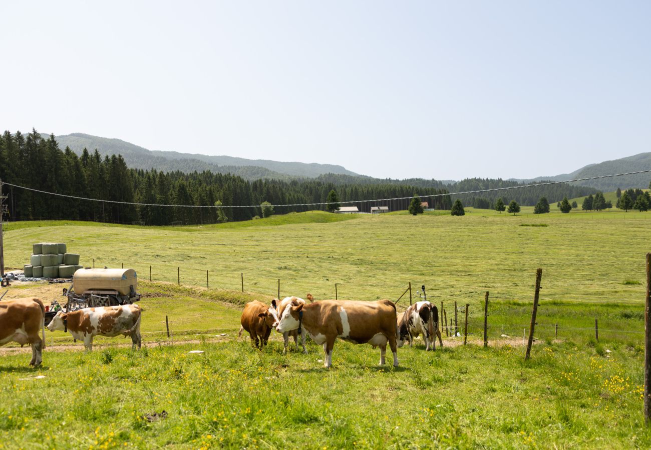Agrotourismus in Tambre - Agriturismo Filippon- Zimmer Fienile