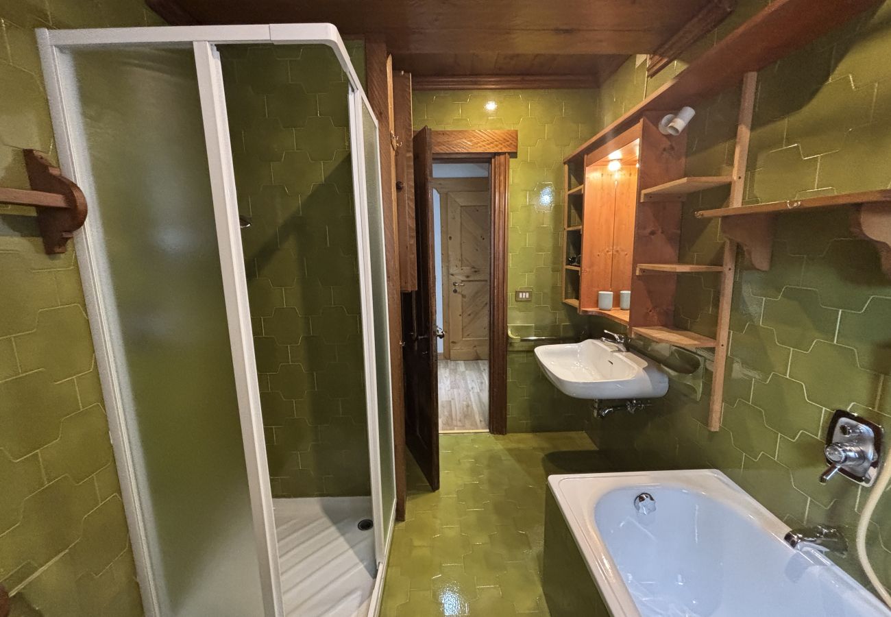 Ferienwohnung in Borca di Cadore - Casa Enrosadira