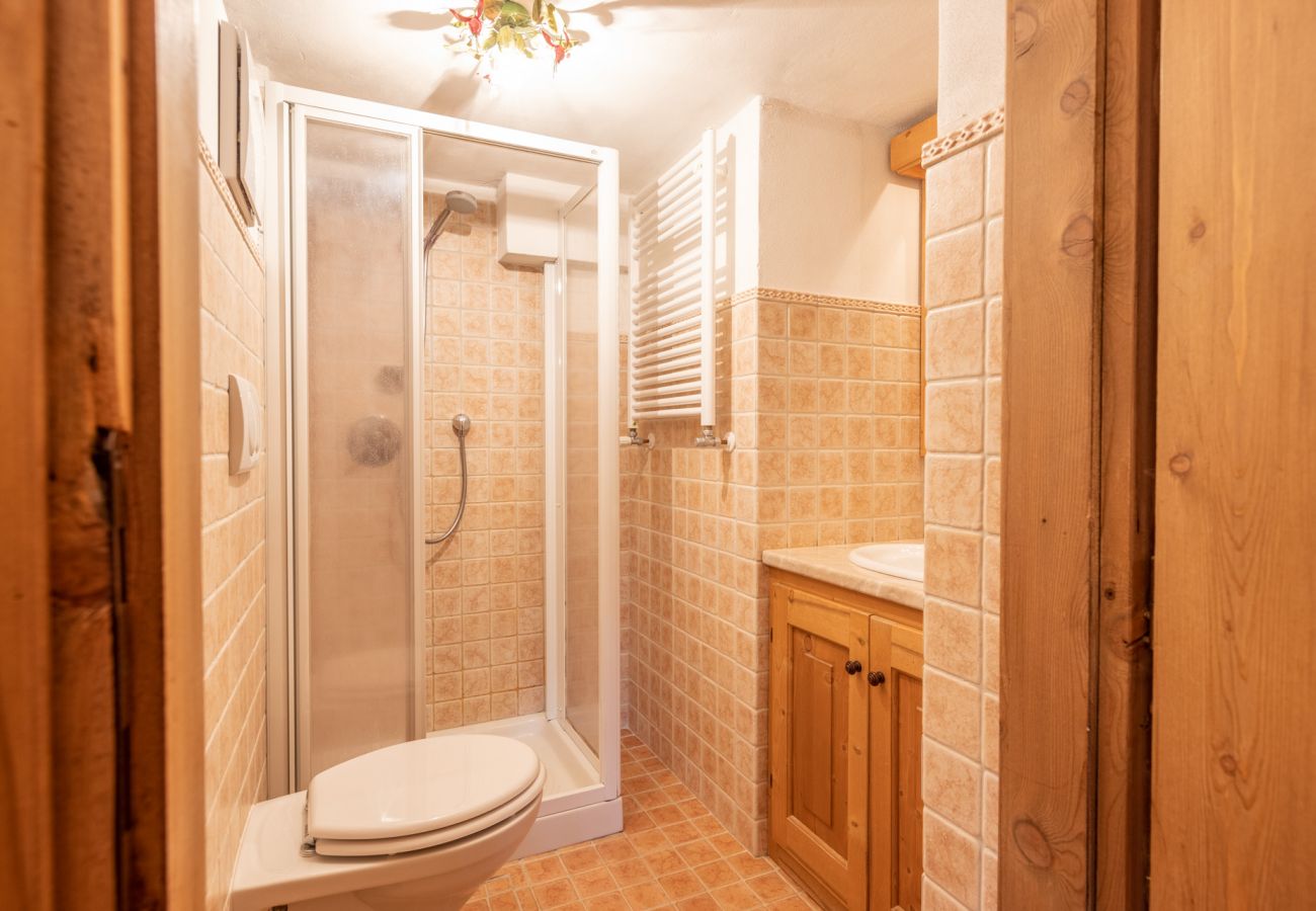 Apartment in Cortina d´Ampezzo - Faloria Mini