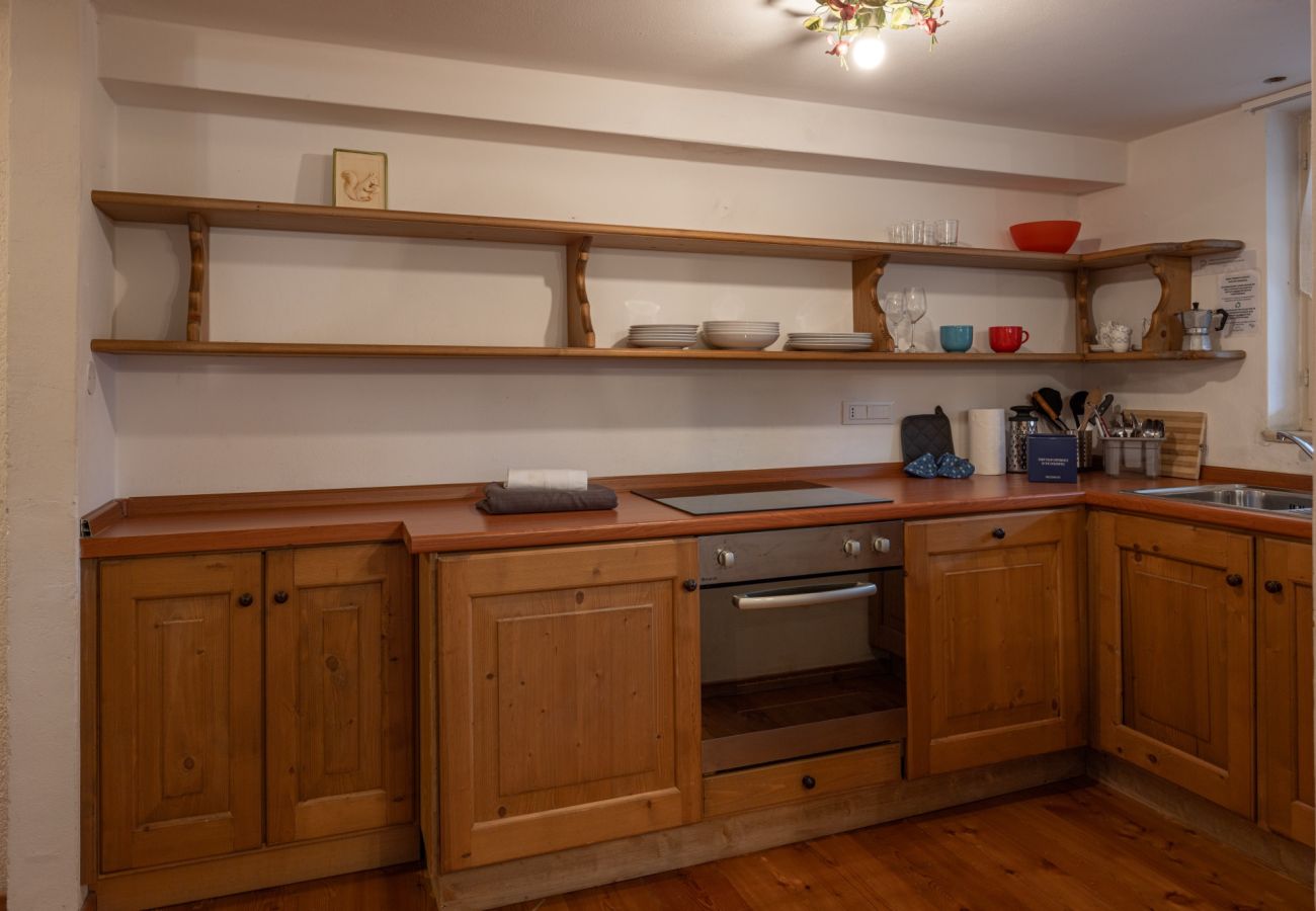 Apartment in Cortina d´Ampezzo - Faloria Mini