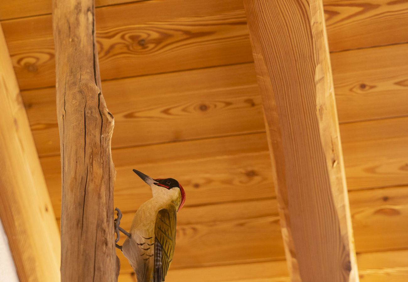 Chalet in Chies d´Alpago - Casera Degnona
