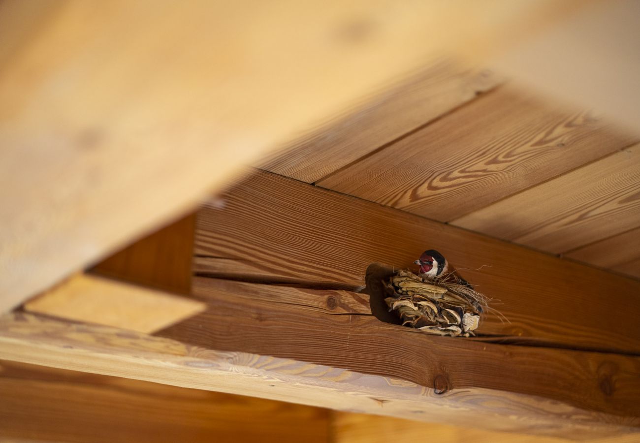 Chalet in Chies d´Alpago - Casera Degnona