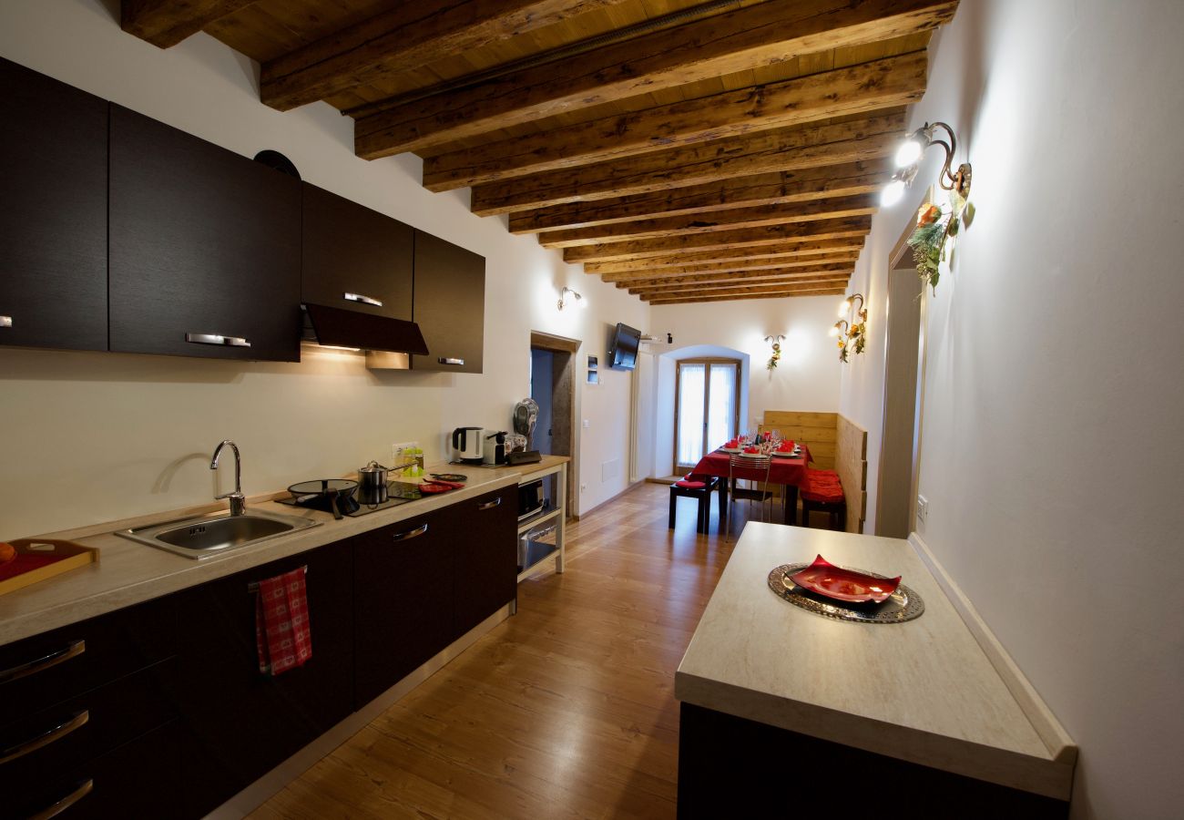 Apartment in Vodo Cadore - Alla Regia