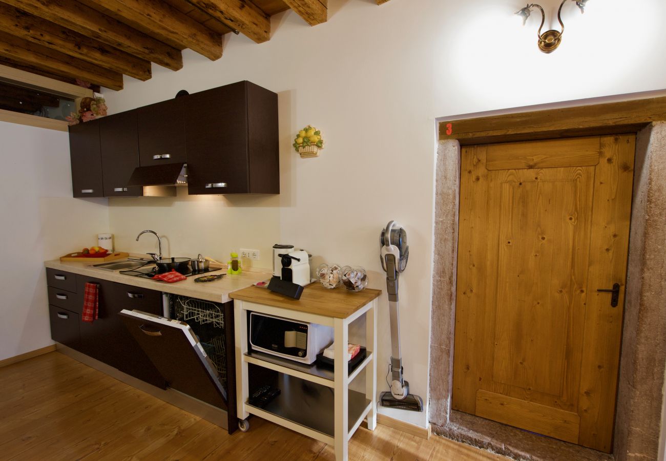 Apartment in Vodo Cadore - Alla Regia