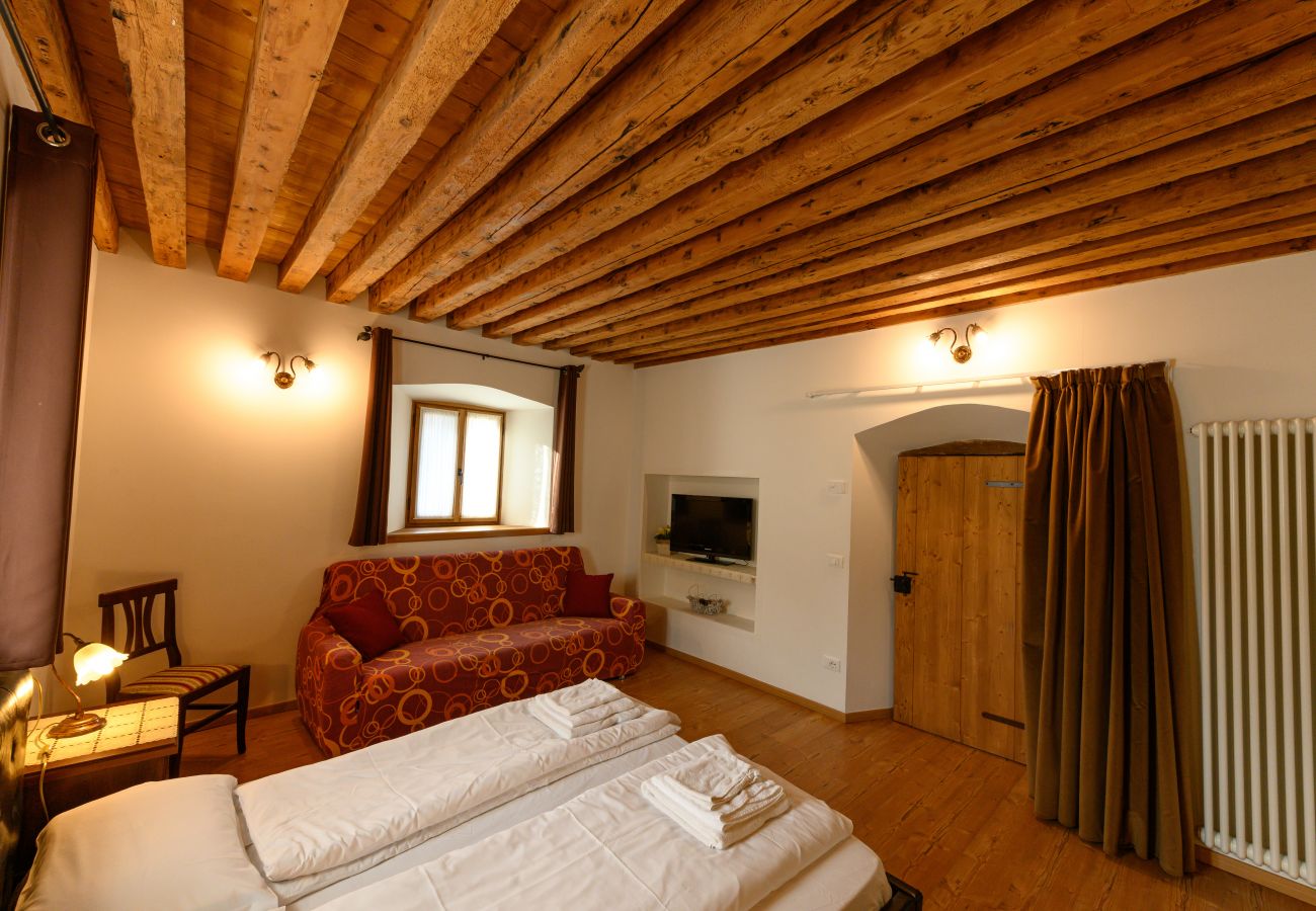 Apartment in Vodo Cadore - Alla Regia