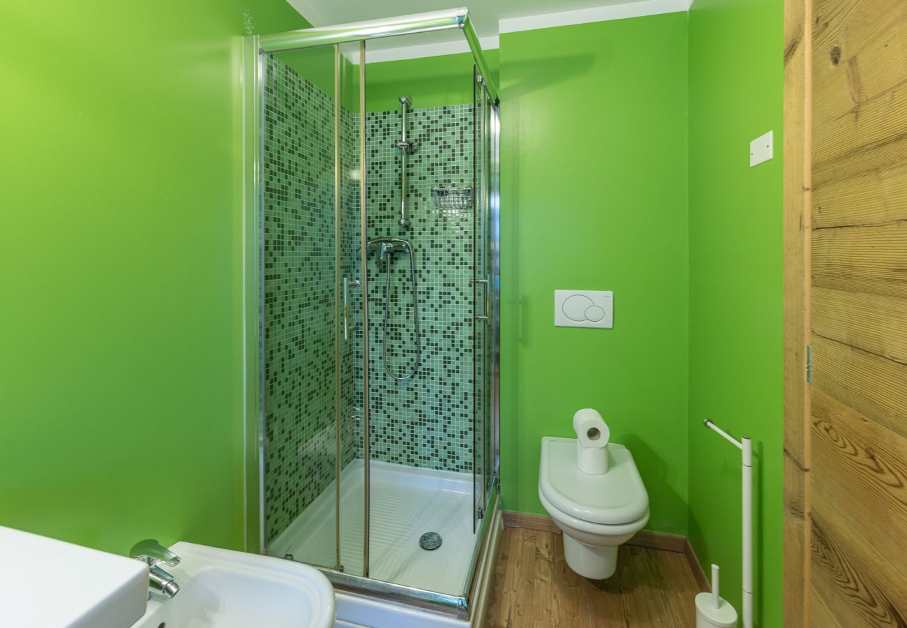 Apartment in Vodo Cadore - Alla Regia