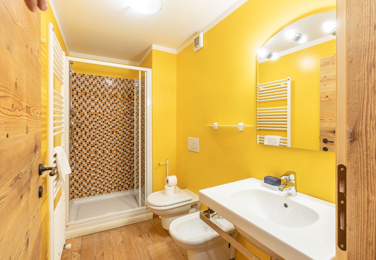 Apartment in Vodo Cadore - Alla Regia