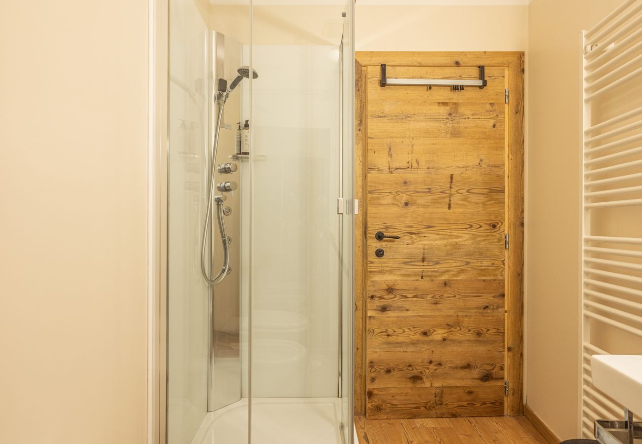 Apartment in Vodo Cadore - Alla Regia 1 Wellness