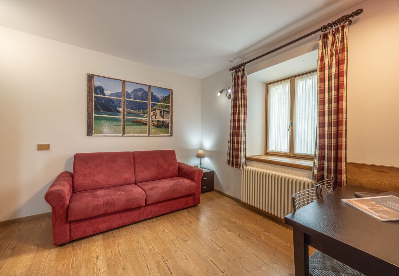 Apartment in Vodo Cadore - Alla Regia 1 Wellness
