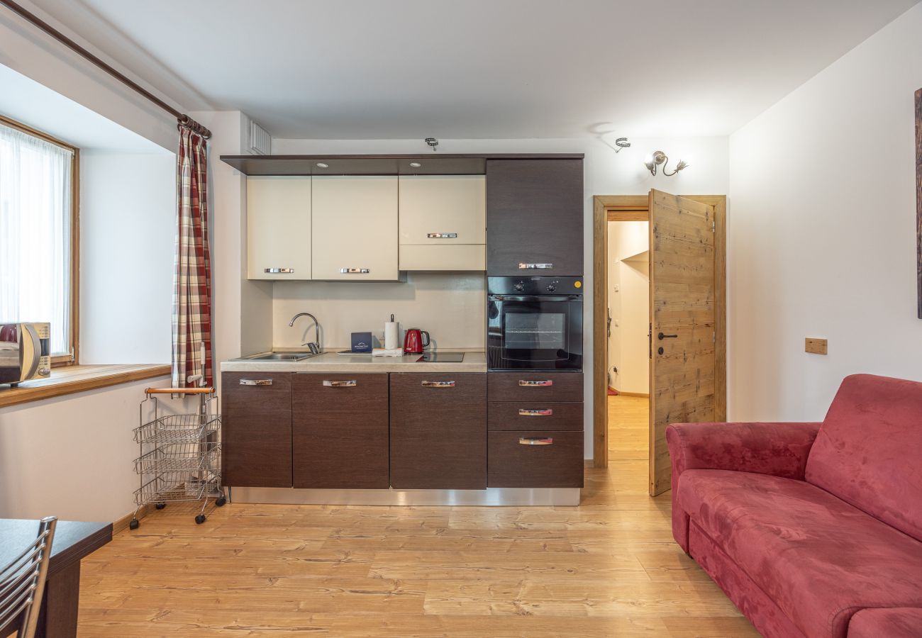 Apartment in Vodo Cadore - Alla Regia 1 Wellness