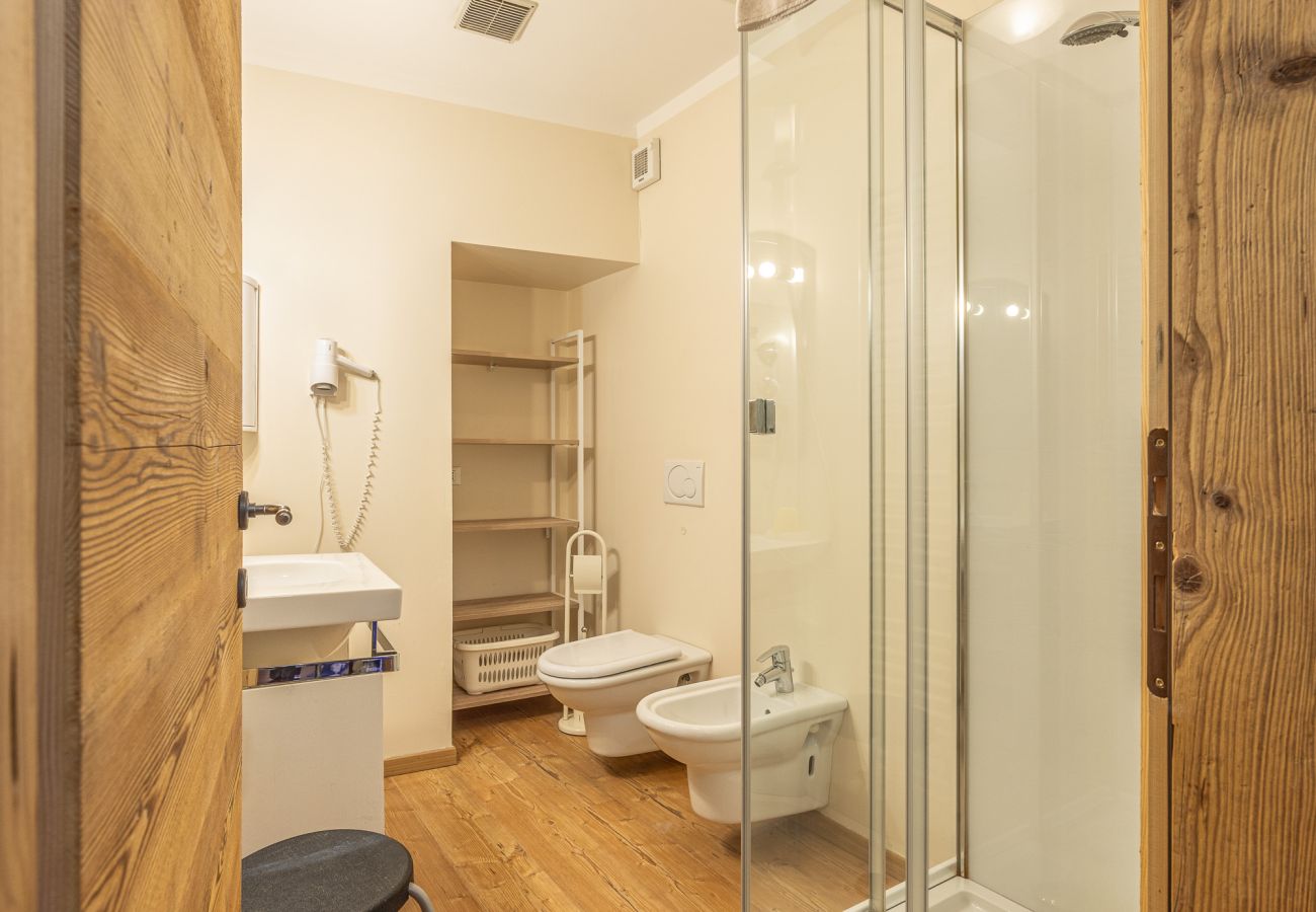 Apartment in Vodo Cadore - Alla Regia 1 Wellness
