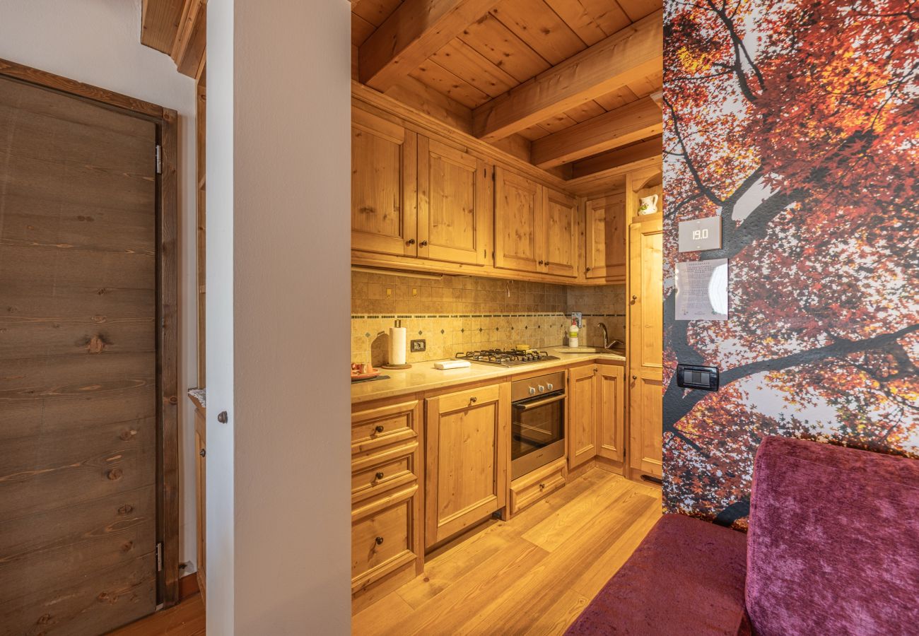 Apartment in Vodo Cadore - Ciandolada 3 Wellness