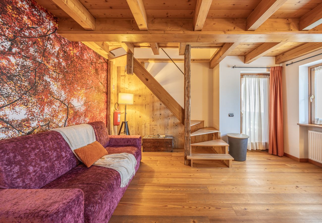 Apartment in Vodo Cadore - Ciandolada 3 Wellness