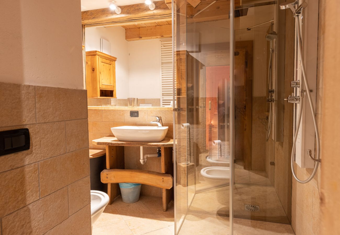 Apartment in Vodo Cadore - Ciandolada 6 Wellness